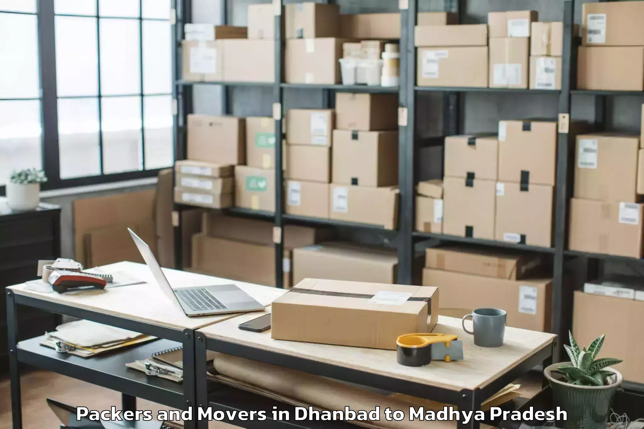 Quality Dhanbad to Jiwaji University Gwalior Packers And Movers